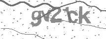 visual captcha
